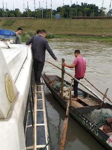 南溪區(qū)開(kāi)展國(guó)慶節(jié)前漁船安全生產(chǎn)專項(xiàng)檢查，確保畜牧漁業(yè)飼料銷售與漁業(yè)生產(chǎn)安全