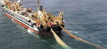 探秘‘海洋巨獸’ 造價四億的世界最大漁船，萬噸漁獲背后的畜牧漁業飼料銷售鏈